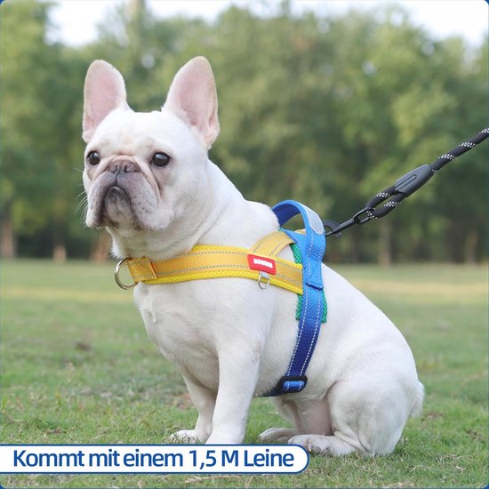 Elevant Instapharnas Voor Honden – Reflecterend, Ademend, Zacht Gewatteerd, Met Veiligheidsclip, Ontsnappingsbestendig – Voor Kleine En Middelgrote Rassen 2 miniatura