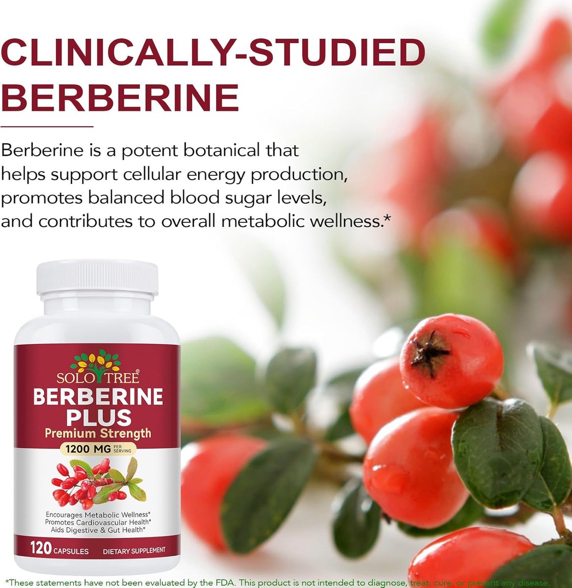 Berberine Plus Capsules 2