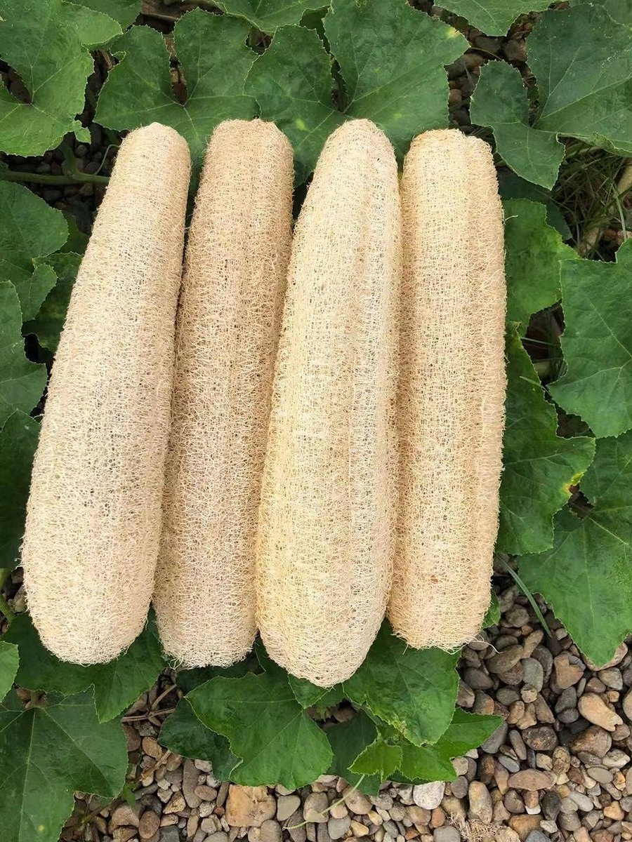 Biologisch Afbreekbare Loofah Spons Set voor Zachte Huid & Scrubben