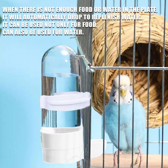 Mangeoire et Abreuvoir Automatiques pour Cages à Oiseaux