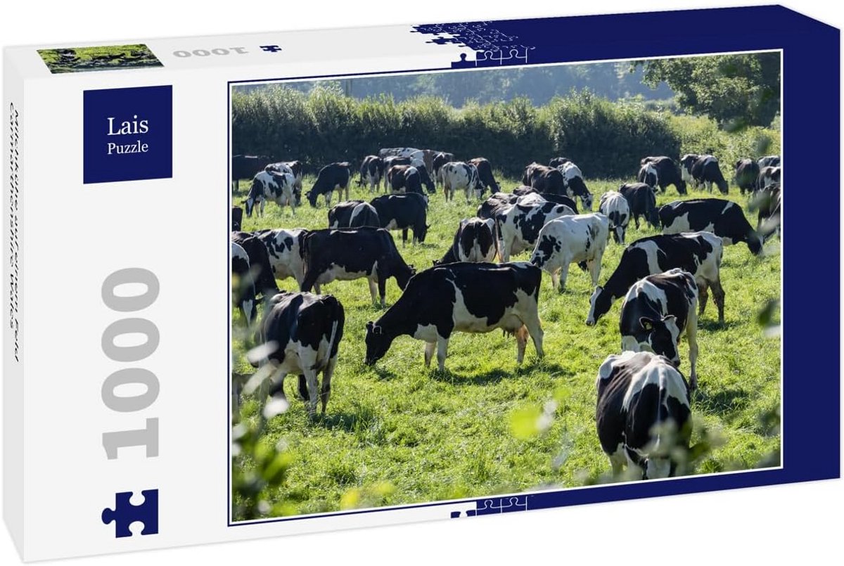 Puzzel 1000 Stukjes Koeien in de Wei Wales Panoramisch Uitzicht