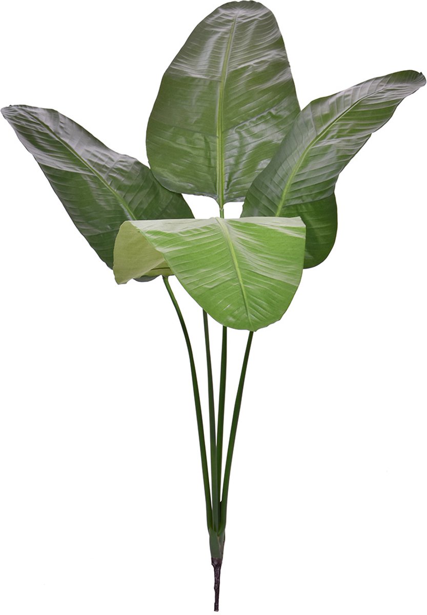 maxifleur Kunstplanten Strelitzia Nicolai deluxe Kunstpalm Bush 160cm Groen