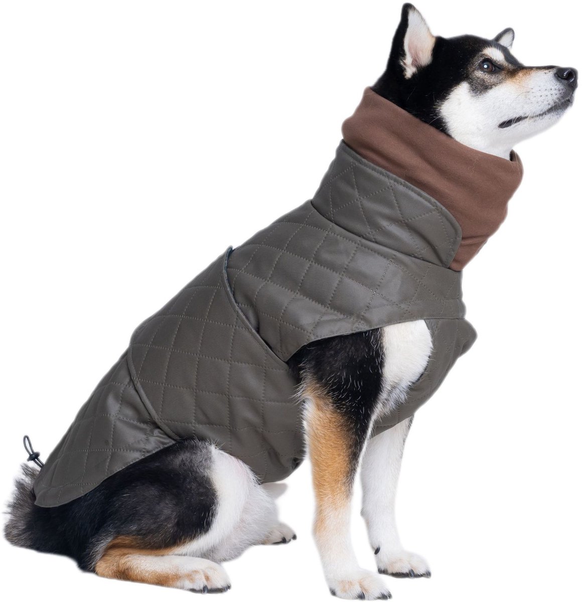 Wintertrui voor honden - Katoenen jasje - Warmtevasthoudend - Regenjas voor honden - Hondenjas – hondenjasjes winter – hondenjas - waterdicht – Maat XXL - Olijfgroen