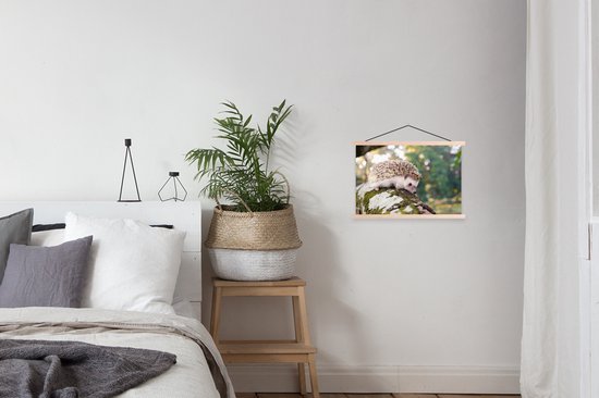 Hérisson rampant sur une branche affiche textielposter lattes vierge 60x40 cm