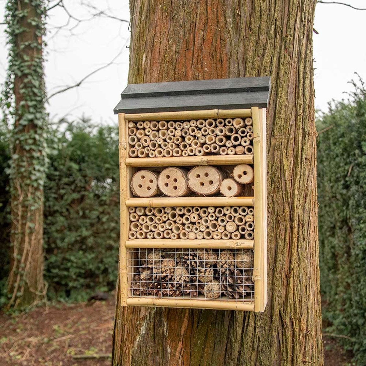 CJ Wildlife Insectenhotel - Capri - Bijenhotel - Insectenhuis voor o.a. Bijen, Hommels & Lieveheersbeestjes - Houten Bijenkast - FSC-gecertificeerd