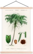 Porte-affiche avec affiche - Affiche scolaire - Arbre - Vintage - Graines - 60x90 cm - lattes vierges