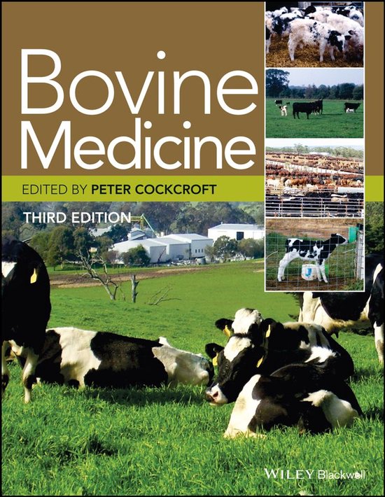 Bovine Medicine - cover
