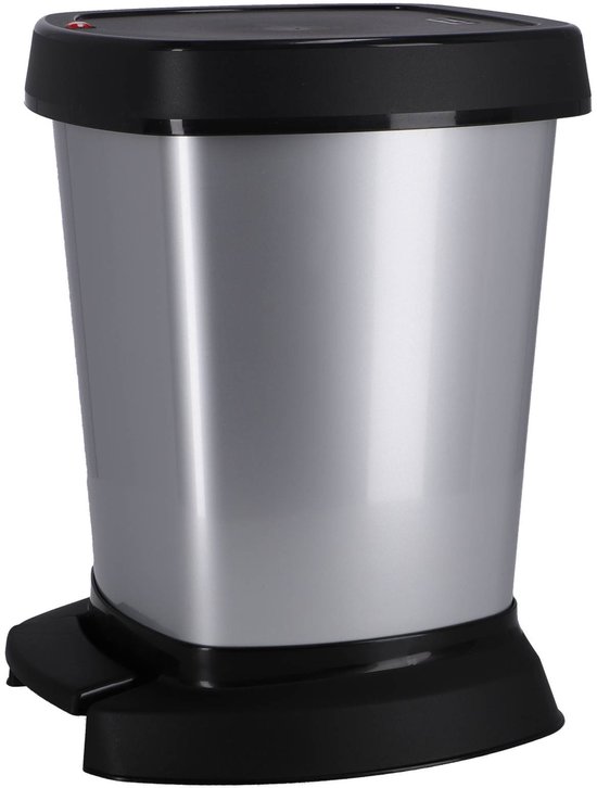 Rotho Paso Poubelle à Pédale - 6 l - Argent Métallisé