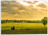 PVC Schuimplaat- Groene Platteland - 40x30 cm Foto op PVC Schuimplaat