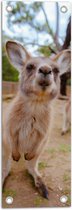 Tuinposter – Snuffelende Kangaroo bij Familie - 20x60 cm Foto op Tuinposter (wanddecoratie voor buiten en binnen)