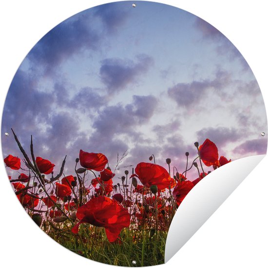 Tuincirkel Panorama van een kleurrijk veld klaprozen - 150x150 cm - Ronde Tuinposter - Buiten