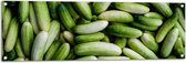 Tuinposter – Hoopje Groene Komkommers - 120x40 cm Foto op Tuinposter (wanddecoratie voor buiten en binnen)