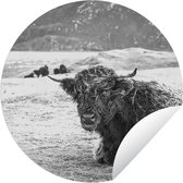 Tuincirkel Schotse Hooglander - Berg - Dieren - 120x120 cm - Ronde Tuinposter - Buiten XXL / Groot formaat!