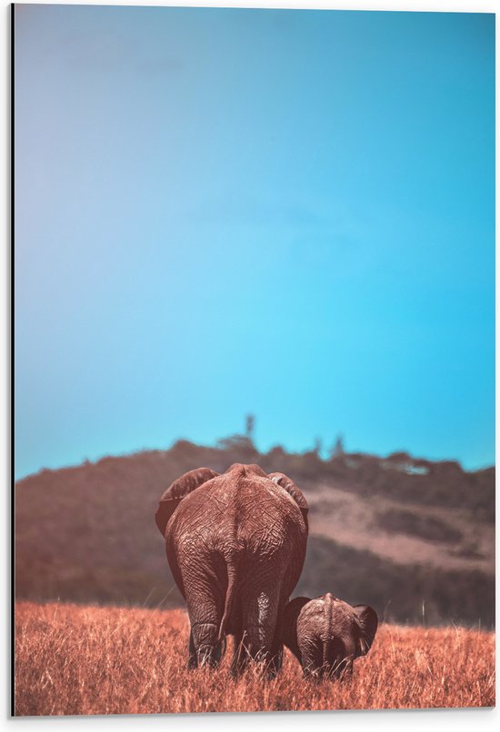 WallClassics - Dibond - Moeder en Baby Olifant tussen het Hoge Gras - 40x60 cm Foto op Aluminium (Met Ophangsysteem)