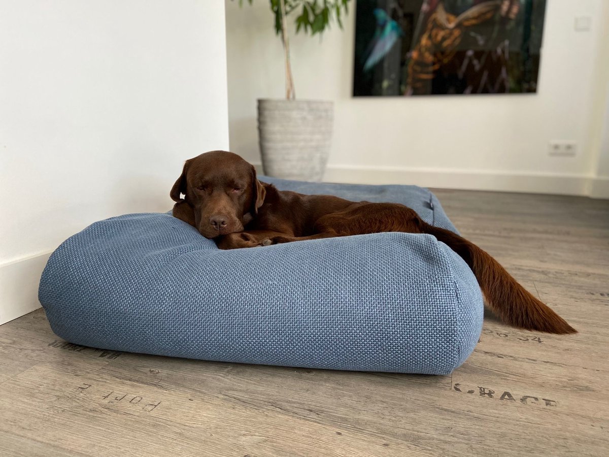 Dog's Companion Hondenkussen / Hondenbed - XS - 55 x 45 cm - Copenhagen Mid Blue