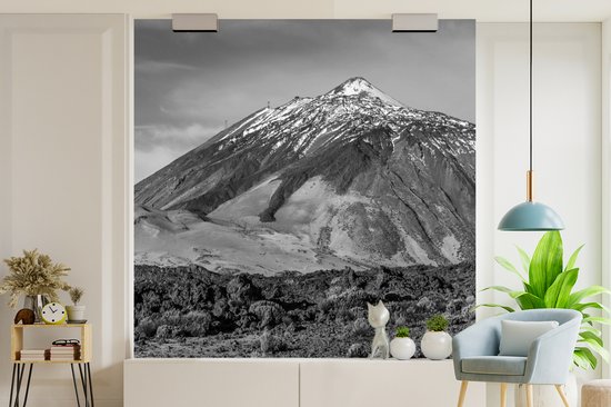 Papier peint photo Tenerife - Volcan El Tei à Tenerife, Espagne - Zwart- Wit largeur 260 cm x hauteur 260 cm - Impression photo sur papier peint vinyle (disponible en 7 formats) - chambre/séjour/bureau