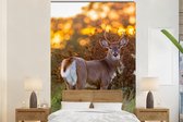 Behang - Fotobehang Hert - Planten - Zonsondergang - Wilde dieren - Natuur - Breedte 200 cm x hoogte 300 cm