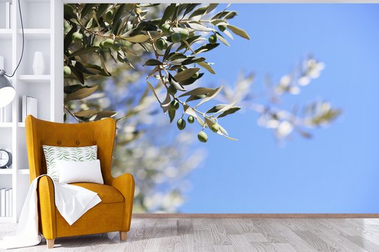Branches de l'olivier en France fotobehang