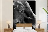 Behang - Fotobehang Buffalo - Dieren - Zwart - Wit - Breedte 180 cm x hoogte 280 cm