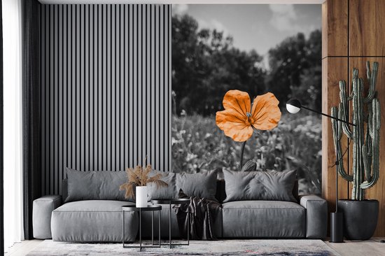 Papier peint - Papiers Papier peint photo Fleurs - Zwart - Wit - Oranje - Largeur 225 cm x Hauteur 350 cm