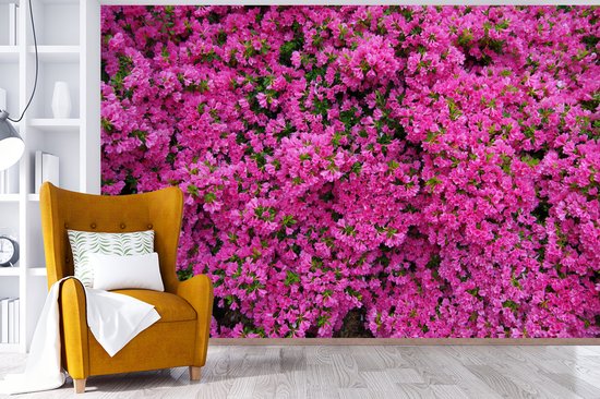 Papier peint photo peint photo vinyle - Azalée buisson largeur 330 cm x hauteur 220 cm - Tirage photo sur papier peint (disponible en 7 tailles)