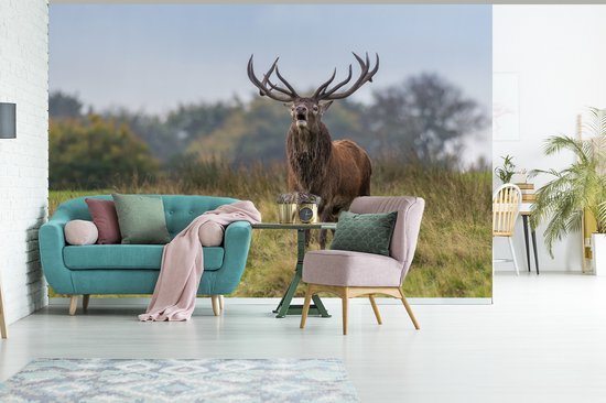 Papier peint photo peint vinyle - Cerf mâle dans la prairie largeur 330 cm x hauteur 220 cm - Tirage photo sur papier peint (disponible en 7 tailles)