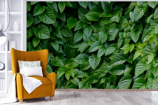 Papier peint Papier peint photo en vinyle - Feuilles vertes largeur 330 cm x hauteur 220 cm - Tirage photo sur papier peint (disponible en 7 tailles)