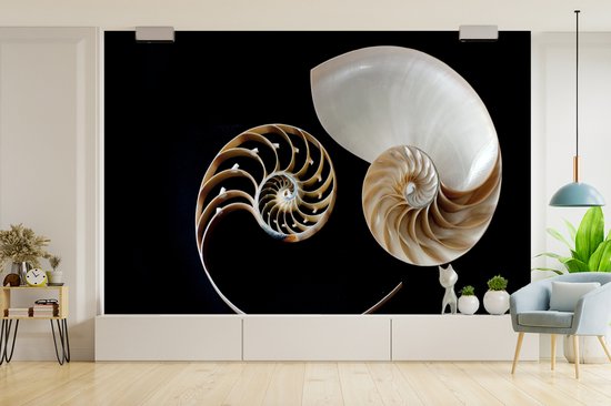 Symbole Yin et Yang de fotobehang escargot