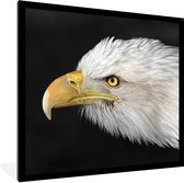 Photo en cadre - Gros plan d'un aigle sur fond noir Cadre photo noir sans passe-partout 40x40 cm - Affiche sous cadre (Décoration murale salon / chambre)