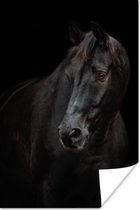Poster Paard - Licht - Zwart - 60x90 cm