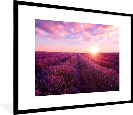 Fotolijst incl. Poster - Lavendel - Bloemen - Frankrijk - Posterlijst