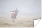 Brullend hert in de mist poster papier 180x120 cm - Foto print op Poster (wanddecoratie woonkamer / slaapkamer) / Wilde dieren Poster XXL / Groot formaat!