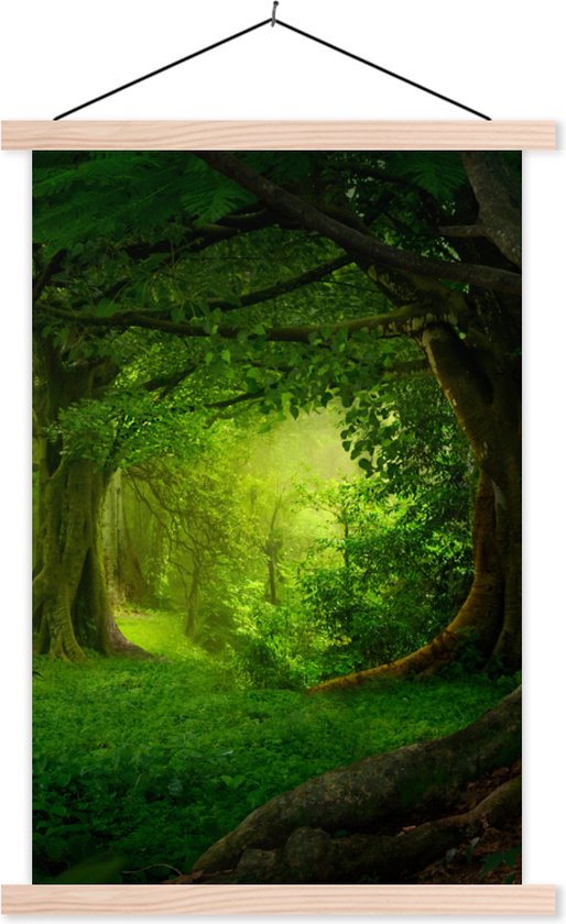 Porte-affiche avec affiche - Affiche scolaire - Arbres - Forêt - Vert - Paysage - Nature - 60x90 cm - Lattes vierges