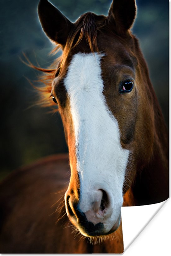 Poster 60x90 cm - Paard - Kop - Licht - Posters - Kamer decoratie - Wanddecoratie woonkamer - Muurdecoratie slaapkamer