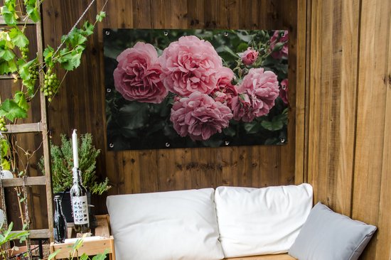 Affiche de jardin rose - Fleurs - Roses - 130x80 cm - Décoration murale extérieure - Affiche de jardin - Toile de jardin - Affiche de clôture - Peinture de jardin