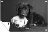 Tuindecoratie Honden - Puppy - Zwart - Wit - Dieren - 60x40 cm - Tuinposter - Tuindoek - Buitenposter