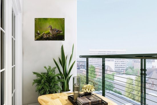 Décoration de Jardin Canard - Vogels - Water - Branche - Mousse - 40x30 cm