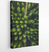 Trees during day - Modern Art Canvas - Vertical - 3573351 - 50*40 Vertical