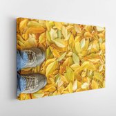 Feet on the background of leaves in autumn on a background of the summer - Modern Art Canvas - Horizontal - 697171780 - 80*60 Horizontal