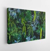 A variety of forest garden walls such as orchids,various fern leaves,palm leaves and many more. - Modern Art Canvas - Horizontal - 1691404840 - 50*40 Horizontal