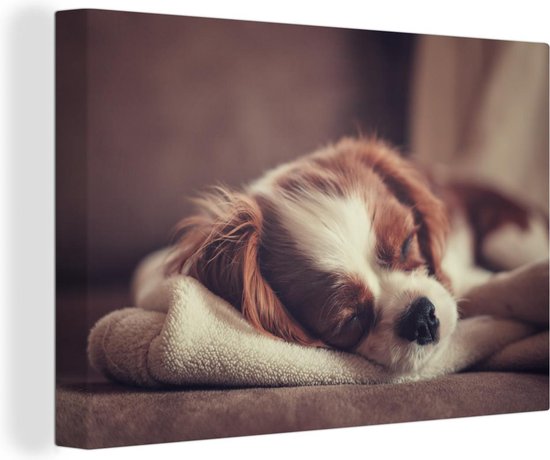Canvas Schilderij Kleine hond slaapt op een deken - 60x40 cm - Wanddecoratie