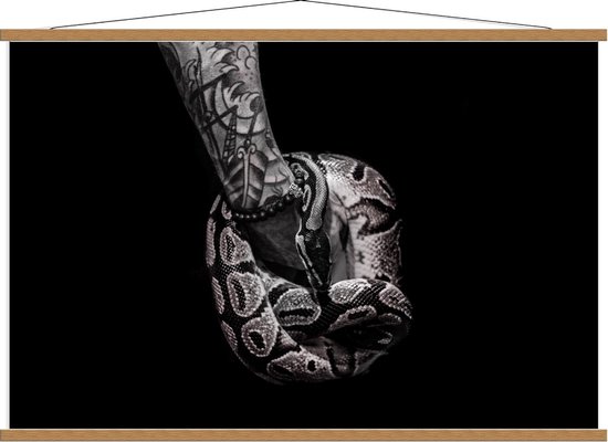 Schoolplaat – Opgerolde Python (zwart/wit) - 120x80cm Foto op Textielposter (Wanddecoratie op Schoolplaat)