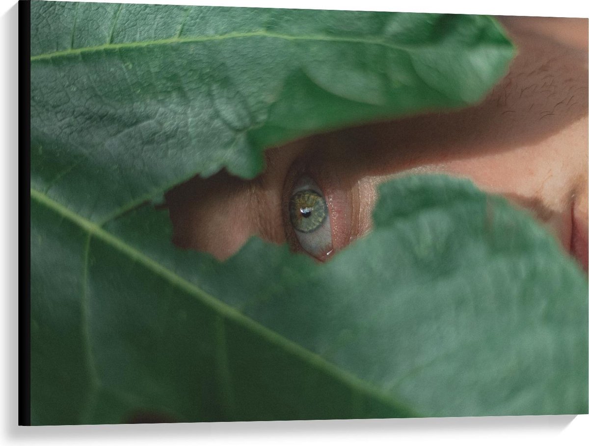 Canvas  - Groen Oog bij Groen Blad - 100x75cm Foto op Canvas Schilderij (Wanddecoratie op Canvas) op Prijzenvolger.com