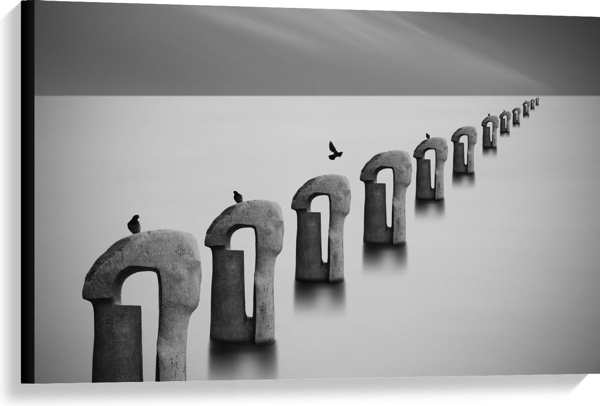 Canvas - Vogels op Betonnen Palen ( Zwart Wit ) - 90x60cm Foto op Canvas Schilderij (Wandd