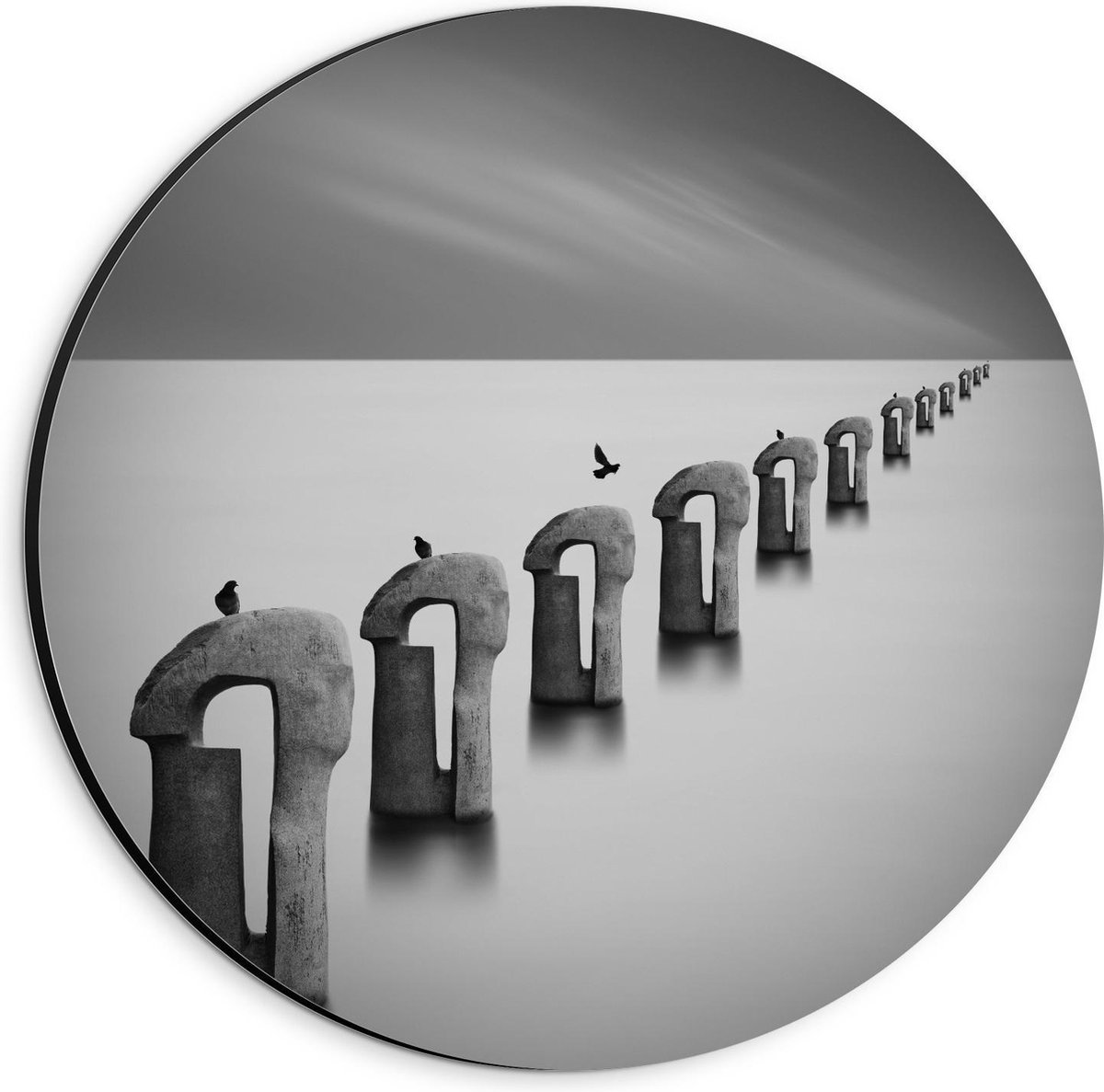 Dibond Wandcirkel - Vogels op Betonnen Palen ( Zwart Wit ) - 20x20cm Foto op Aluminium Wan