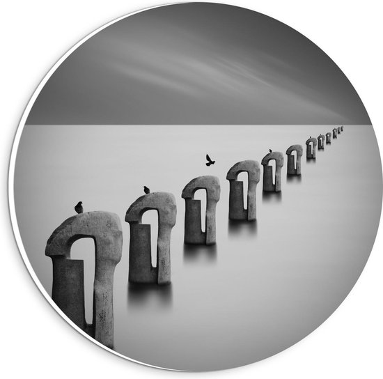 Forex Wandcirkel - Vogels op Betonnen Palen ( Zwart Wit ) - 20x20cm Foto op Wandcirkel (met ophangsysteem)