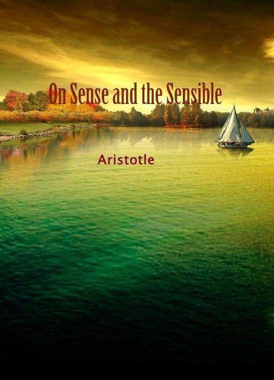 On Sense and the Sensible - cover