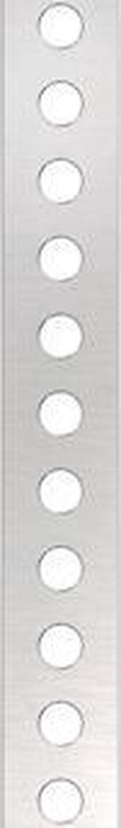 Flamco montageband verzinkt geplastificeerd 19mm rol=10m, prijs= per rol