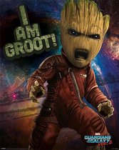 Pyramid Guardians of the Galaxy Vol 2 Angry Groot  Poster - 40x50cm