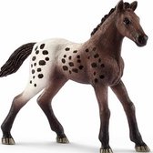 Schleich Appaloosa Veulen